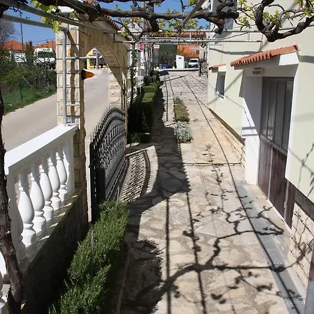 Cilas * Zadar